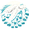 Tortue pollution