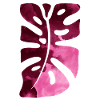 Monstera Leaf