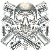 Armament Allegiance: Skull and Pistols