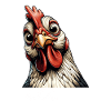 Funny Chicken Chicken Funny Image