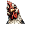 Funny Chicken Chicken Funny Image