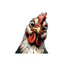 Funny Chicken Chicken Funny Image