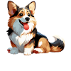 Corgi