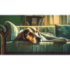 Cute animals chilling – dog