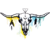 Buffalo skull