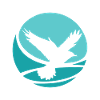 Volée d’ailes d’oiseaux volant
