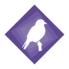 Perruche, Oiseau, Observation D’oiseaux