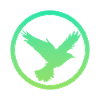 Flying, Wings, Bird