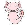 Axolotl Motif Kids Cute