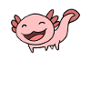 Axolotl Motif Kids Cute