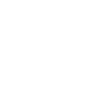 Hund substantiv
