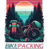 Solnedgang Bikepacking Forest