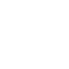 Chicken soup