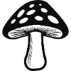 mushroom
