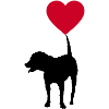 Dog with heart balloon (Rottweiler)