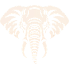 Éléphant