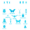 Facilement distrait par les insectes