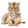 Tiger Spirit
