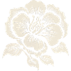 Ethereal Blossom