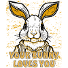 HASE TON LAPIN T’AIME