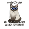 Chat affamé