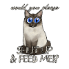 Chat affamé