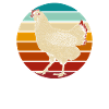Chicken Hen