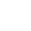 Année du Dragon 2024