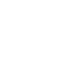 Année du Dragon 2024