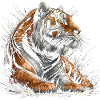 Cool relaxed tiger with paint splash