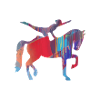 Vaulting,Equestrian sports,Horses,Graffiti
