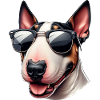 Bull Terrier Puppy Wearing Sunglasses