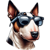 Cute Pitbull Terrier Wearing Sunglasses