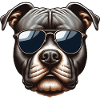 Pitbull Wearing Sunglasses