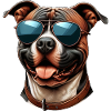 Cute Pitbull Wearing Sunglasses