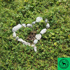 Stone Heart