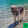 Eibsee