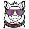 Cool Llama