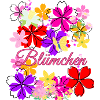 Blomster, blomster, blomsterdragt, karneval