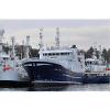 H-77-AV Malene S