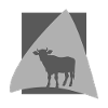 Beef muh farming