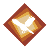Oiseau, Voler, Volée D’Oiseaux