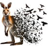 Wallaby