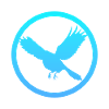 Flying, Animal, Animal