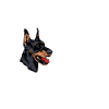 Doberman Dog Dogs Pet Gift