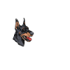 Doberman