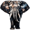 Universe - Elephant - Stars