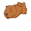 Famille - Capybara avec bébé Capybara