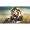 Cute animals chilling – lion