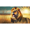 Cute animals chilling – lion